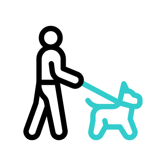 Dog Walking