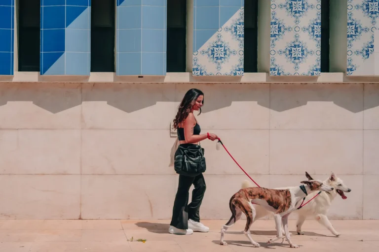 Dog Walking Lisbon