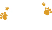 Dog Walking Lisbon
